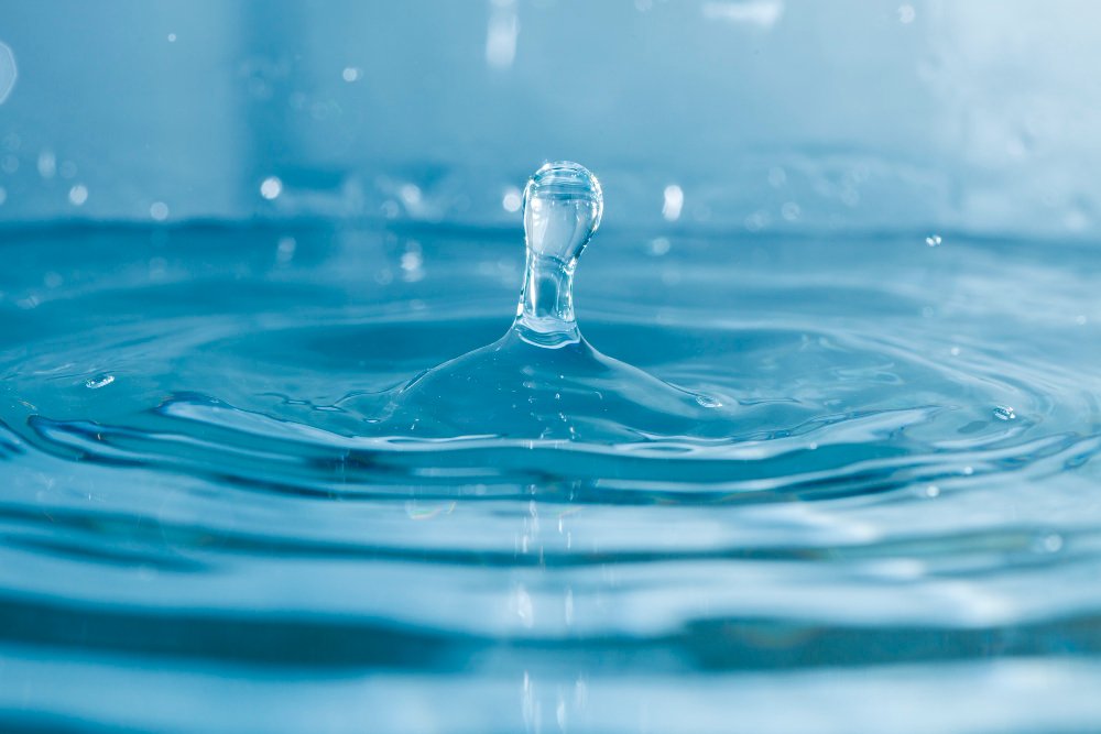Ozone Generator